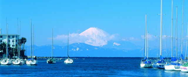 油壺京急マリーナ